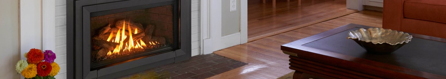 Gas Fireplace Insert Catalog Header