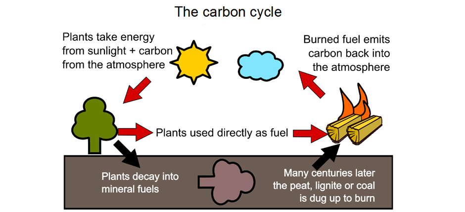 carboncycle_6.png