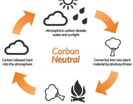 carbon neutral oil carbon neutral oil