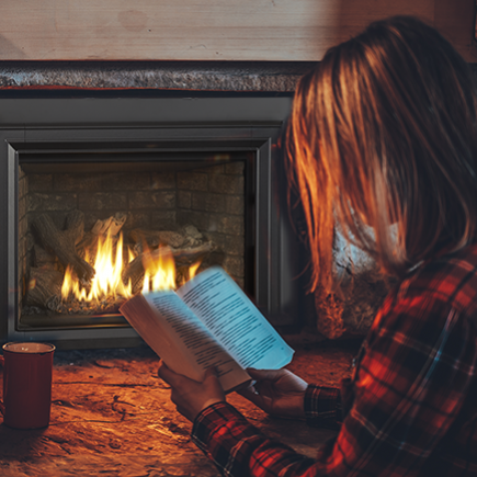 Jotul Gas Fireplace