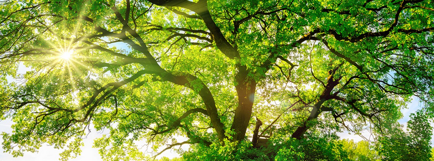 Jotul wood stove changeout